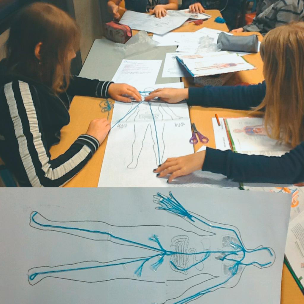 MevrouwBrilman's tweet photo. #ActiverendeLessen deel 3; de bloedsomloop namaken met blauwe en rode wol. De leerlingen maken hiervan een do-it-yourself rubriek in hun tijdschrift over het hart. Maar.... Natuurlijk wel eerst zelf uitproberen. #trialanderror #Biologie #Onderwijs #Bloedsomloop https://t.co/D9c1dK61B5