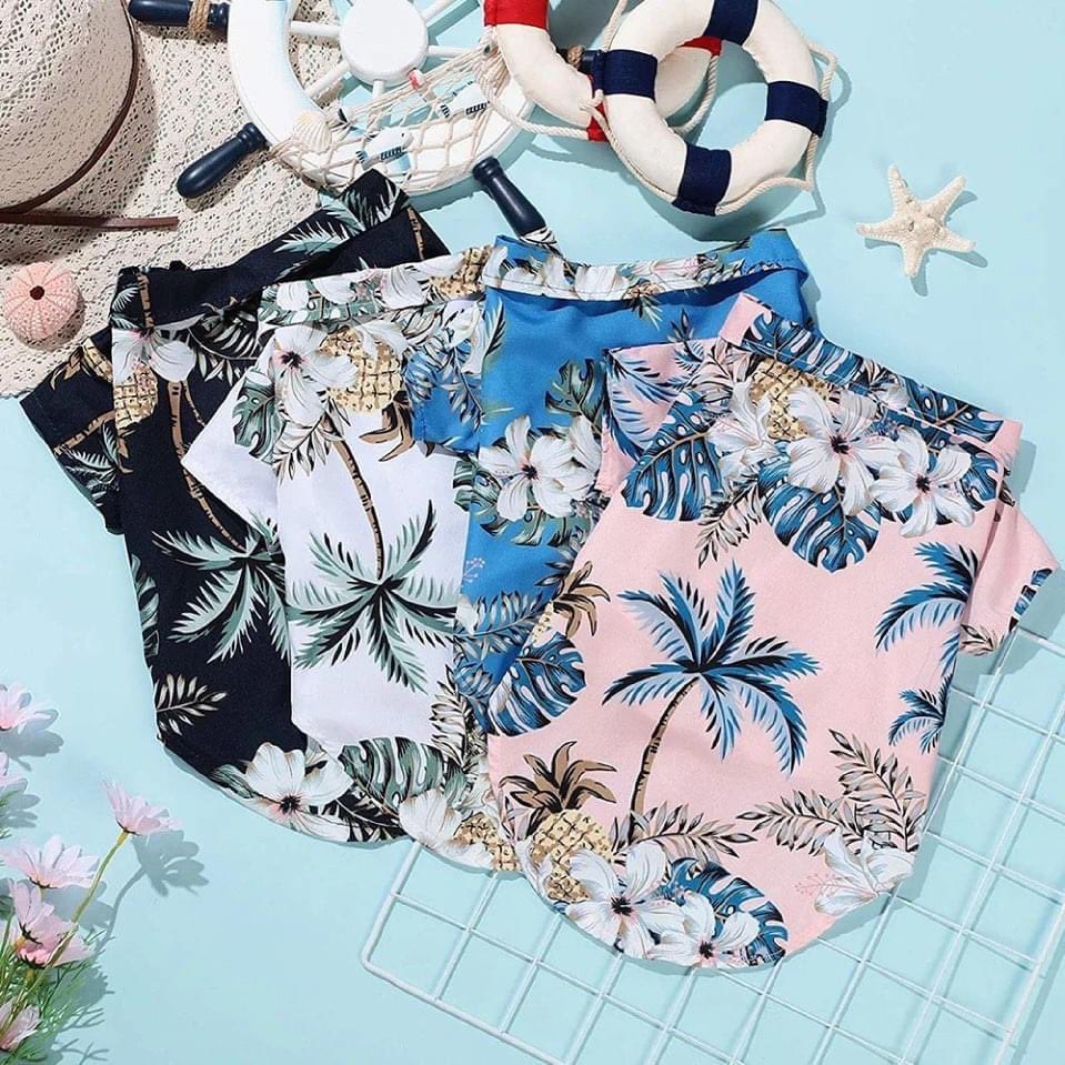 BeyondCatStore1's tweet photo. Beach days just got cooler with these Hawaiian shirts for your kitty. Order yours at 𝘽𝙚𝙮𝙤𝙣𝙙 𝘾𝙖𝙩 𝙎𝙩𝙤𝙧𝙚! 🤩

#beyondcatstore #hawaiianshirt #catshirt #beachlife #style https://t.co/lZXoCqjHI4