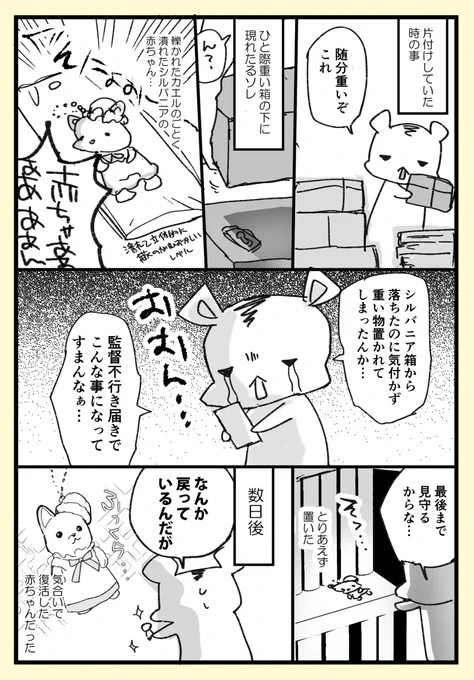 最近の出来事 