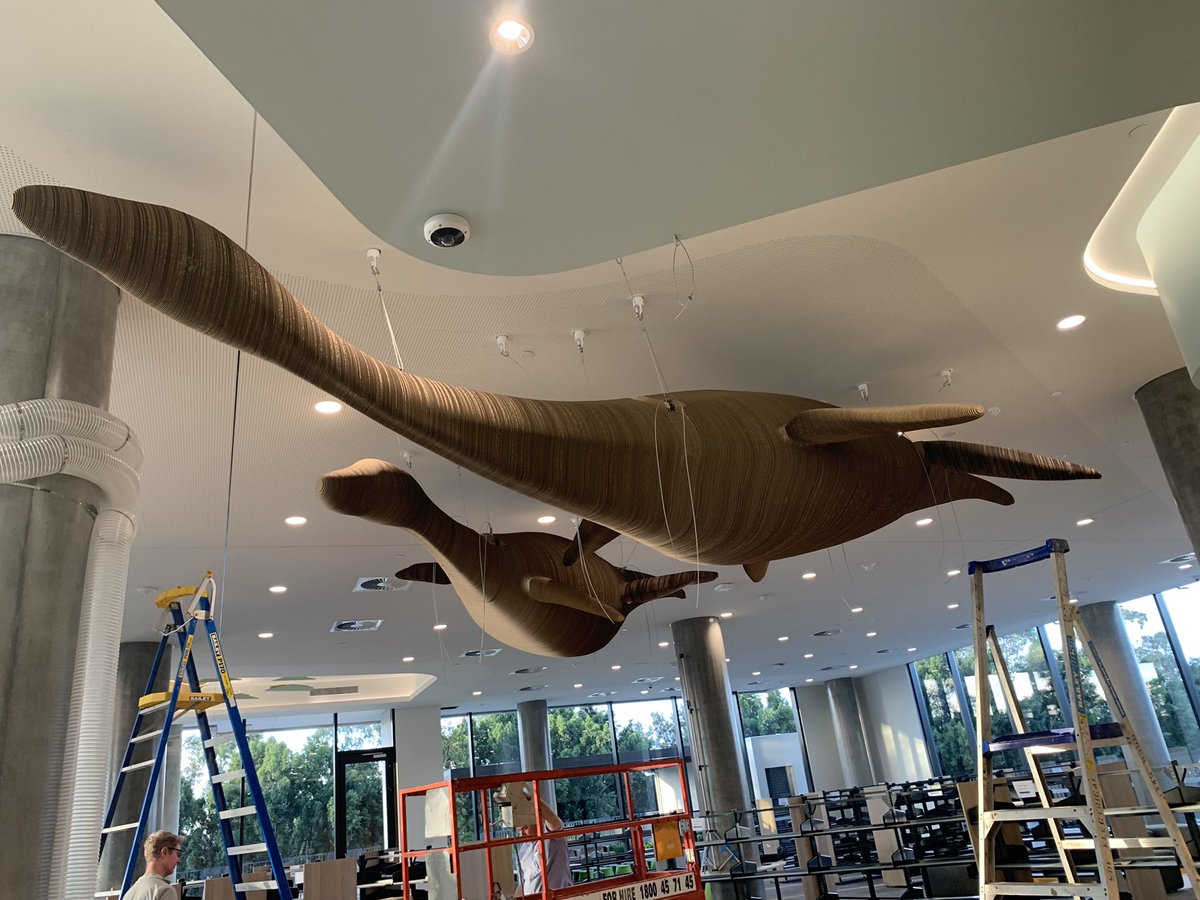 Library_Matt's tweet image. Just a pair of life size cardboard plesiosaurs. Photos do no justice whatsoever
