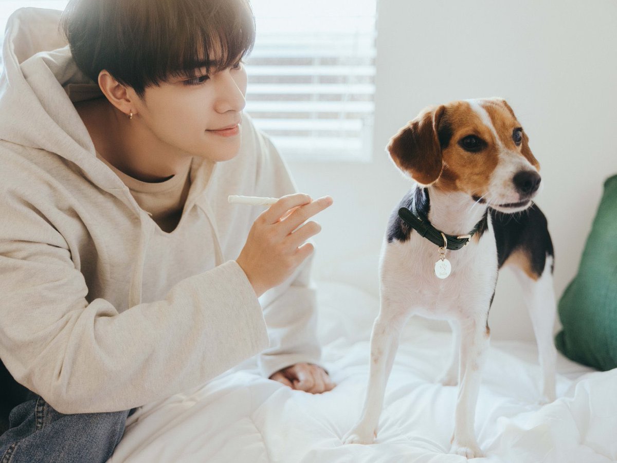 xiaojunpics's tweet image. 210611 #XIAOJUN update 🐶

“My baby ~”