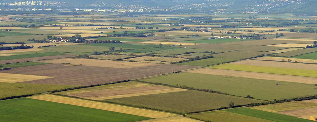 lit_gca's tweet photo. On termine ce #festivalLIT avec un projet sur les atouts/contraintes de #légumineuses à graines au sein de systèmes céréaliers en #Limagne-Val d'Allier. Pour voir la vidéo, c'est ici ➡️https://t.co/cUbInDVVa8
Retrouvez toutes les vidéos ➡️https://t.co/260Vm246G9
@VetAgroSup https://t.co/Xr9l09xjzT