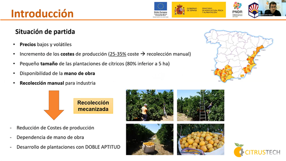 gocitrustech's tweet photo. 🍊⚙️#ProyectoCITRUSTECH #Webinar @Cajamar 

Sergio Castro (@Univcordoba), se encargó de exponer los resultados en la recolección de un sacudidor de copa para la recolección de cítricos. Permite una vibración controlada en la copa para el desprendimiento de cítricos y aceitunas. https://t.co/LXmtgHjqiI