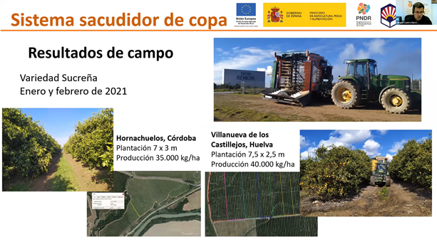 gocitrustech's tweet photo. 🍊⚙️#ProyectoCITRUSTECH #Webinar @Cajamar 

Sergio Castro (@Univcordoba), se encargó de exponer los resultados en la recolección de un sacudidor de copa para la recolección de cítricos. Permite una vibración controlada en la copa para el desprendimiento de cítricos y aceitunas. https://t.co/LXmtgHjqiI