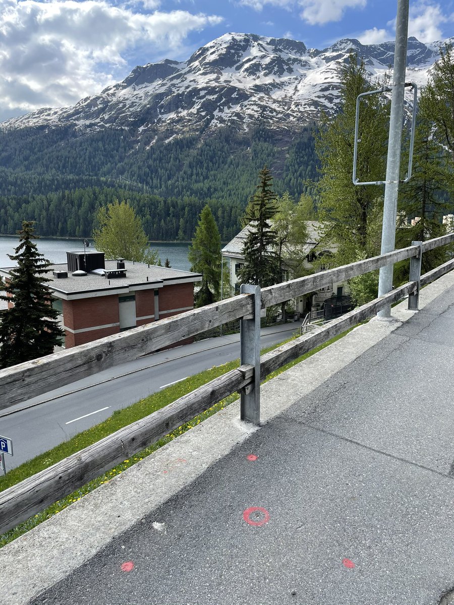 Spurenleser sind gefragt: Spezies?