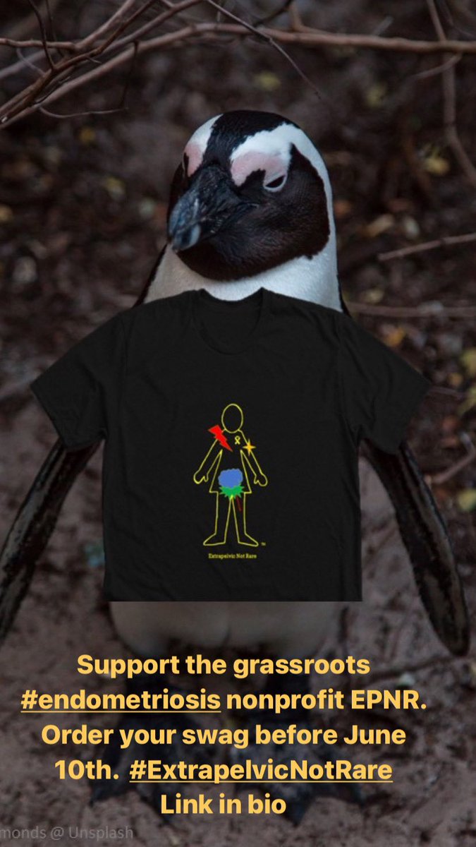 XtraNotRare's tweet image. Support the  #grassroots #endometriosis 501 c3 registered non-profit #ExtrapelvicNotRare.  Video highlighting purpose of Tee’s and Hoodies Campaign available on link to order EPNR swag.  bonfire.com/fundraising-pr…