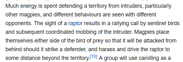 paypercutts's tweet photo. #100daysofgamedev Day54
Not much free time again, outside of real life work.
But I did get to squeeze in a bit of research and added to the #featurecreep #scopecreep of #SwoopingJustice
See pics
#gamedev #indiedev #indiegame #indiedev #IndieGameDev #Australia #birds #research https://t.co/x7vRNcS7u5