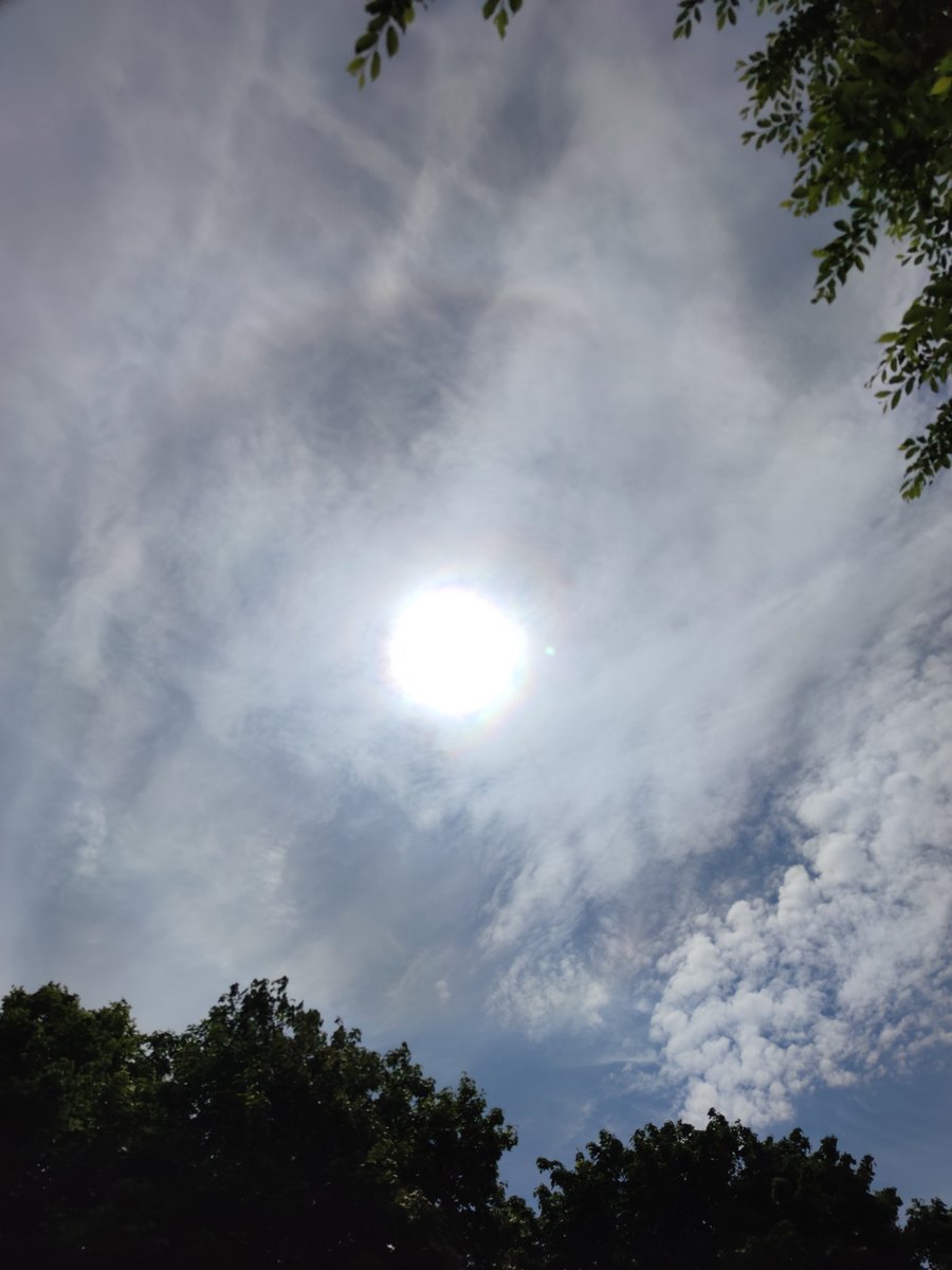 Tage Rosenqvist tweet media