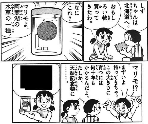 マリモが見えますか?本当に?退院は3ヶ月後に延期します 