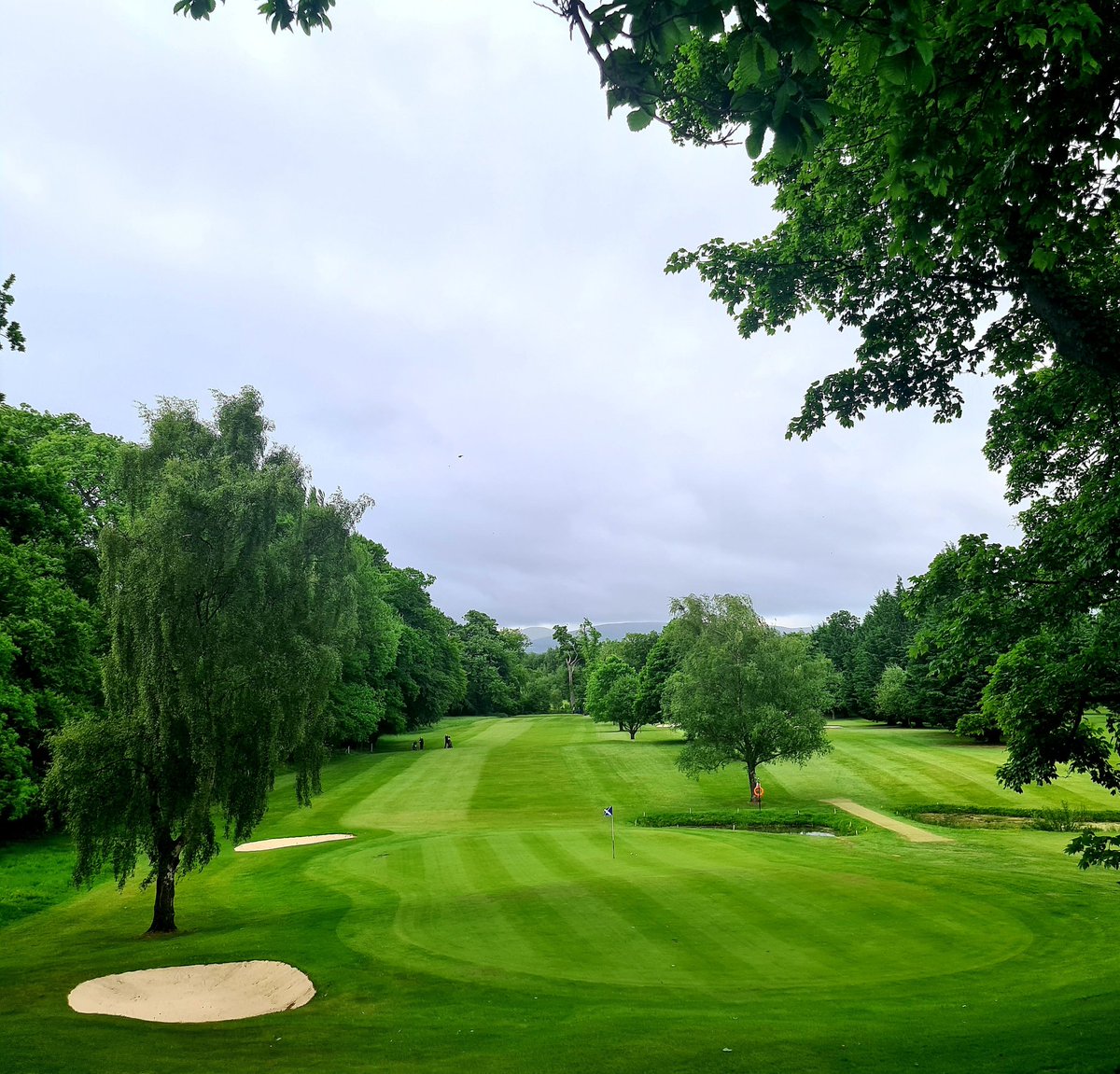 Gogarburn Golf Club tweet media