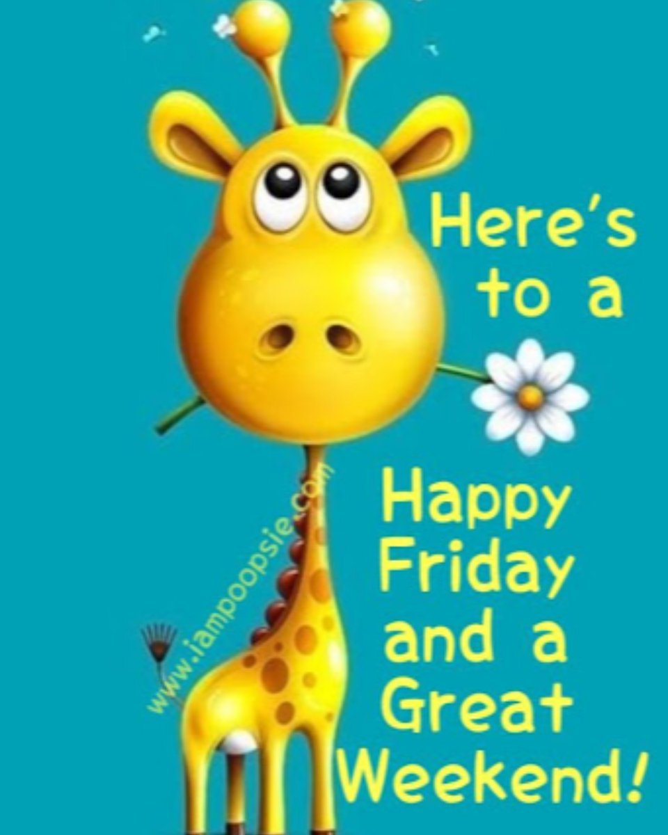 Celbridge Playzone tweet media