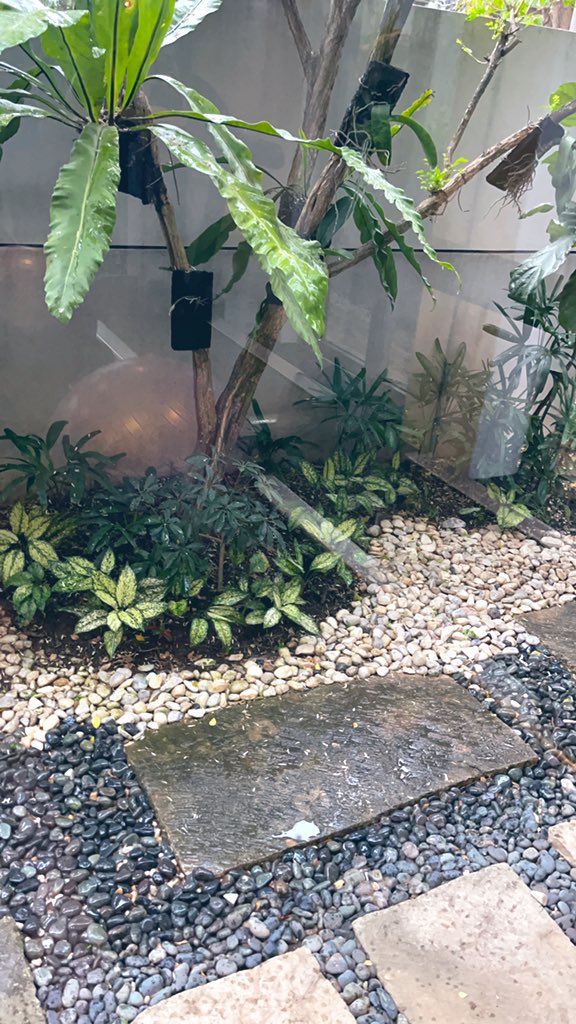 aldenrichards02's tweet photo. The weather… 💤 https://t.co/bYqwifsPIi