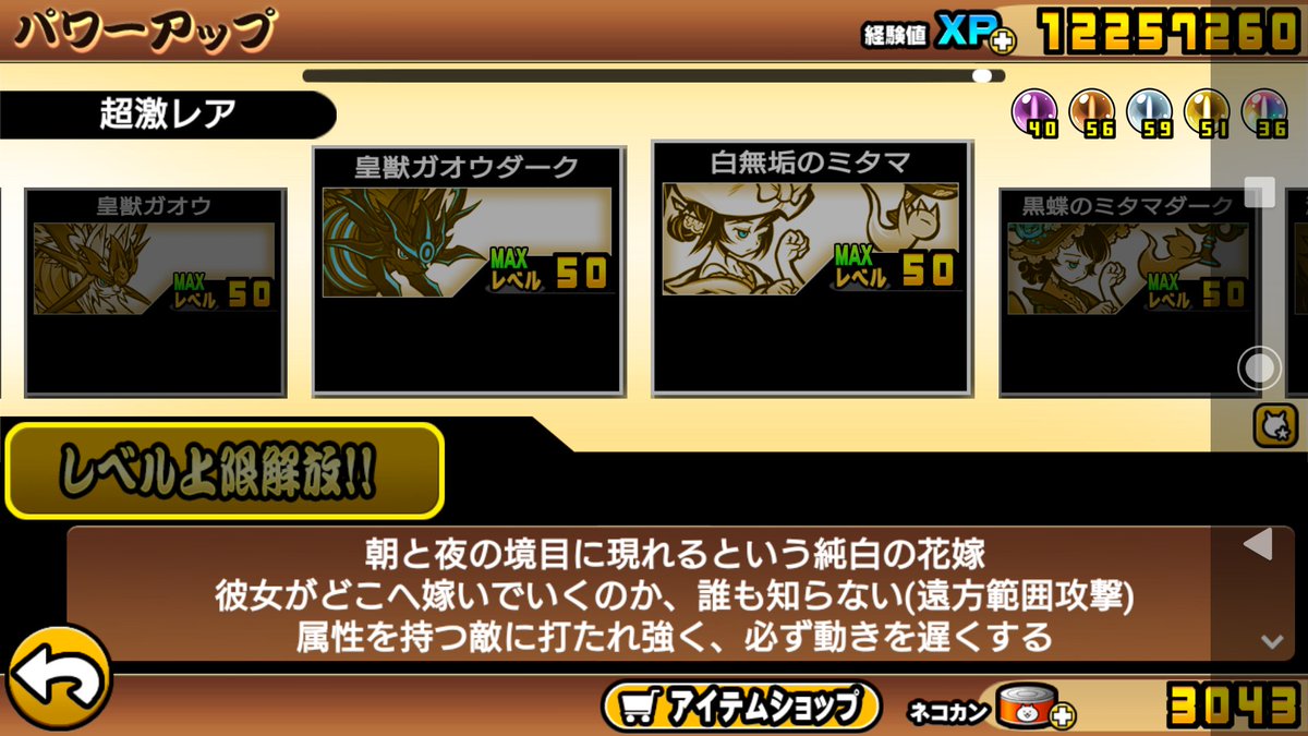 よっしー 猫好き Hogxzegxdwyj4wj Twitter よっしー 猫好き Hogxzegxdwyj4wj Twitter