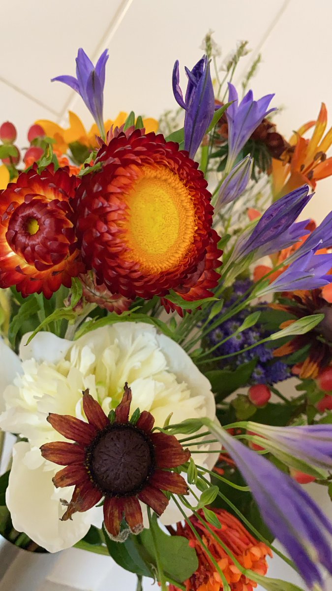 一条ありさ Arisaichijou Twitter