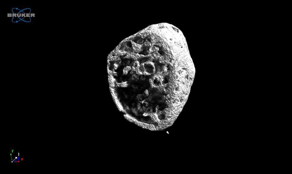 Ioannis Papantoniou (@i_papantoniou) on Twitter photo Engineering skeletal organoids - the dark side of the ossicle: <a href="/DevReg_KULeuven/">Dept of Development and Regeneration - KU Leuven</a>, <a href="/JointPromH2020/">JointPromise_H2020</a> Engineering skeletal organoids - the dark side of the ossicle: <a href="/DevReg_KULeuven/">Dept of Development and Regeneration - KU Leuven</a>, <a href="/JointPromH2020/">JointPromise_H2020</a>