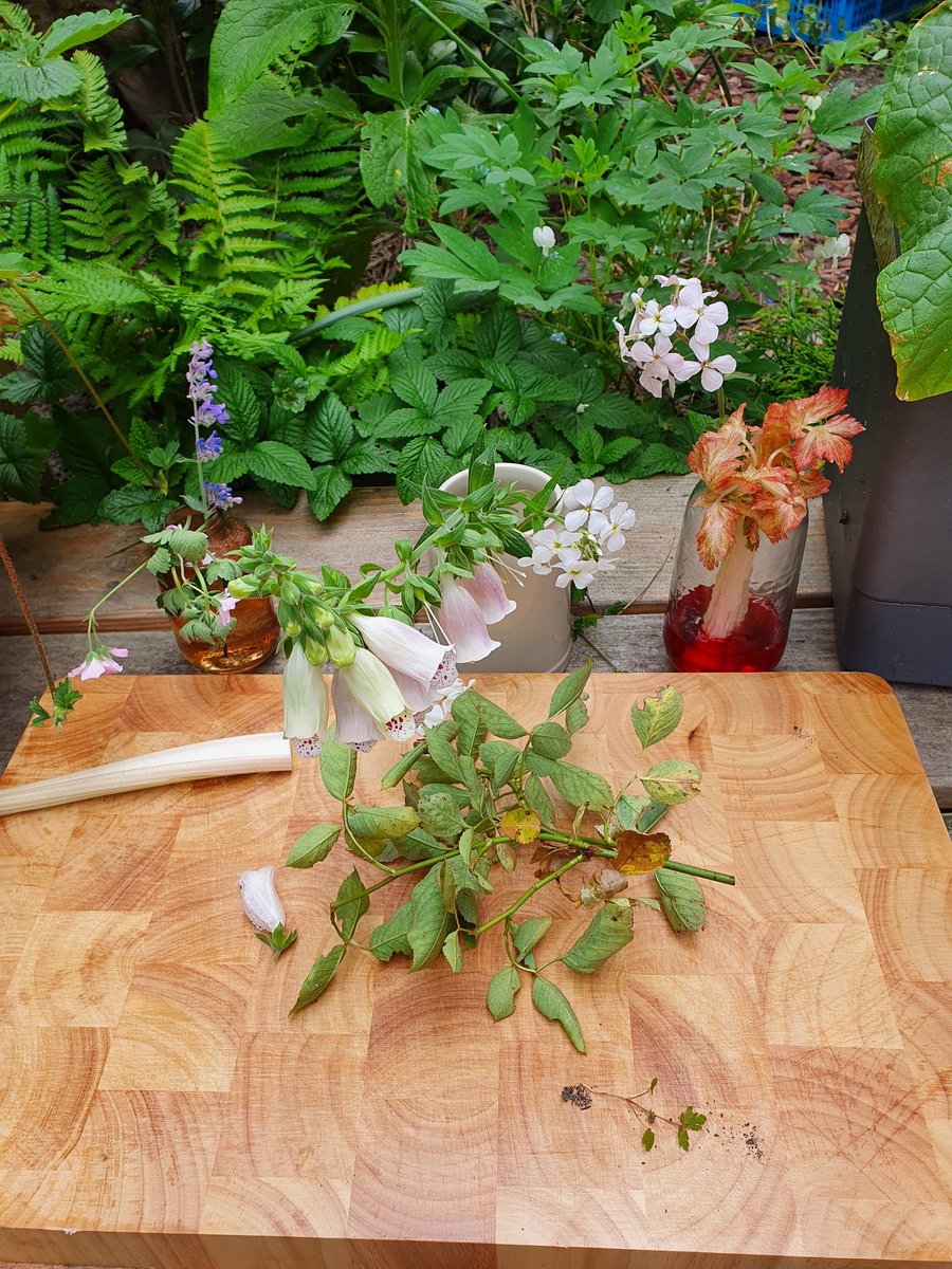 Lesje planten online vanuit de tuin gedaan en als het goed is zijn ze nu zelf buiten op zoek met een fotospeurtocht.
