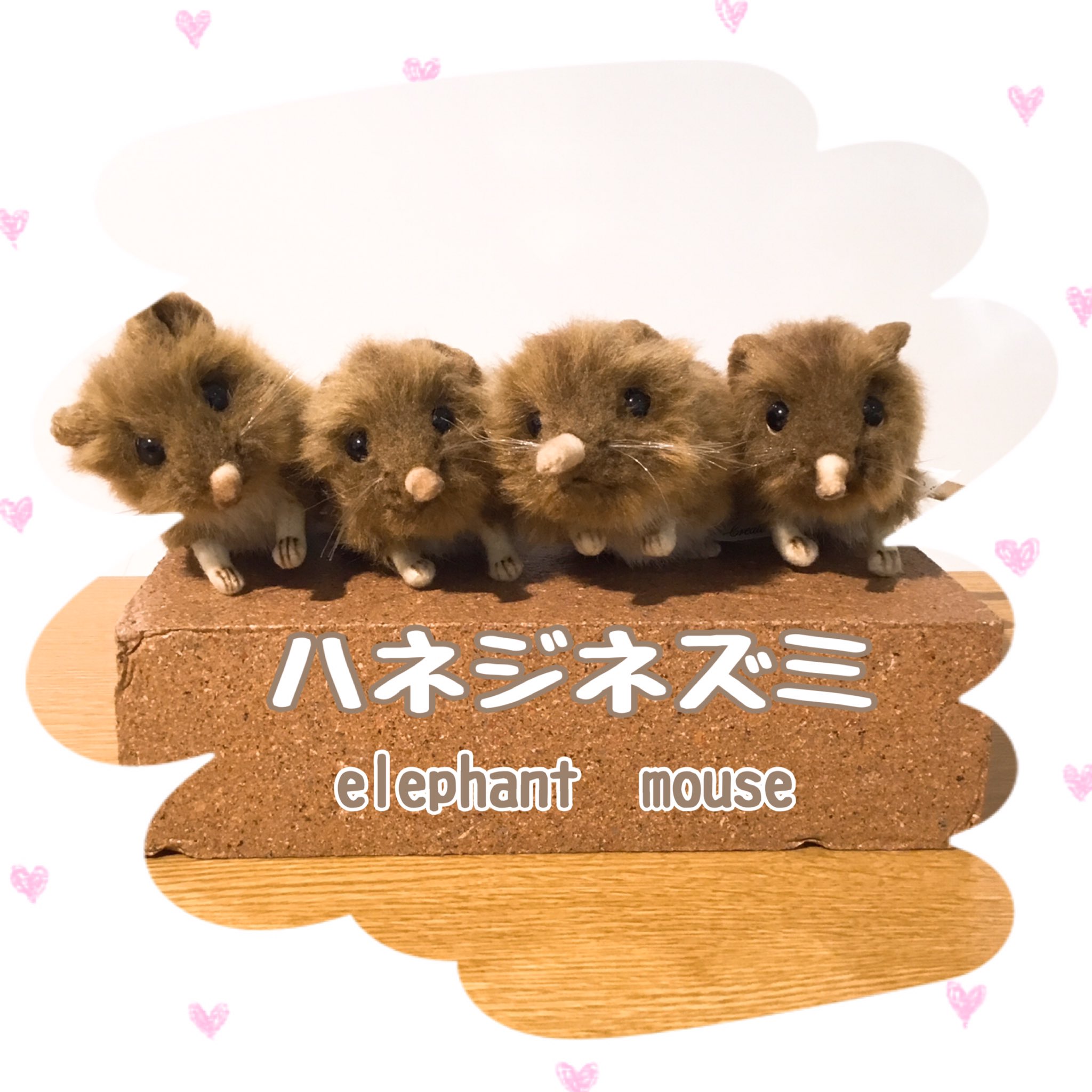 テディベアショップ ジェイアール名古屋タカシマヤ店 ジェイアール名古屋タカシマヤ テディベアショップ テディベア Hansa シュタイフ メリーソート 動物 エコバック プレゼント ぬいぐるみ ハネジネズミ はねじねずみ Elephantscrew