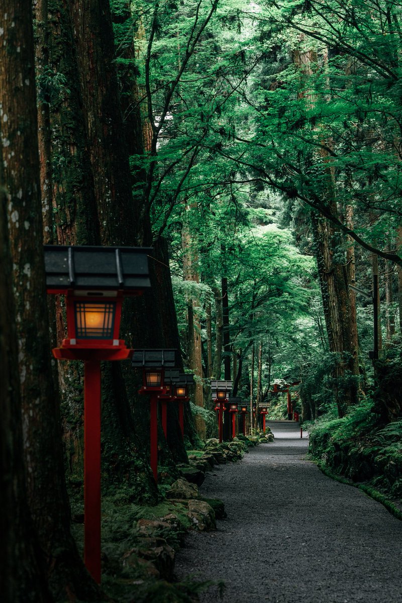 hiphotography1's tweet photo. 貴船神社本宮の更に奥、
「奥宮」に流れる神秘的な空気。 https://t.co/CggwRxmAEK