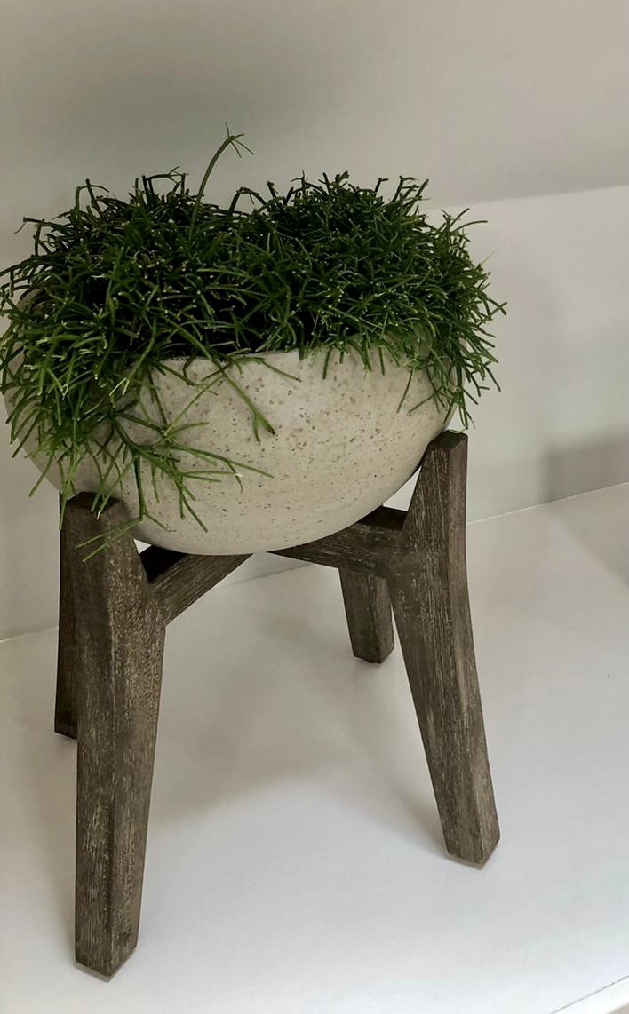 Planters on legs 🪴🌳 #urbanplanters #valueofplants #legs #newinstalls #cheshire #countryside #clotton #valueofplants #newoffice #officeplanting #greenery #statementplanting #statementpot