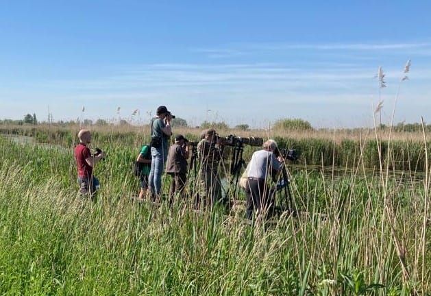 Beste fotografen, wij zouden het zeer op prijs stellen als jullie vogels rustig laten broeden. Hoe bijzonder en fotogeniek ze ook zijn. Bedankt voor jullie medewerking.