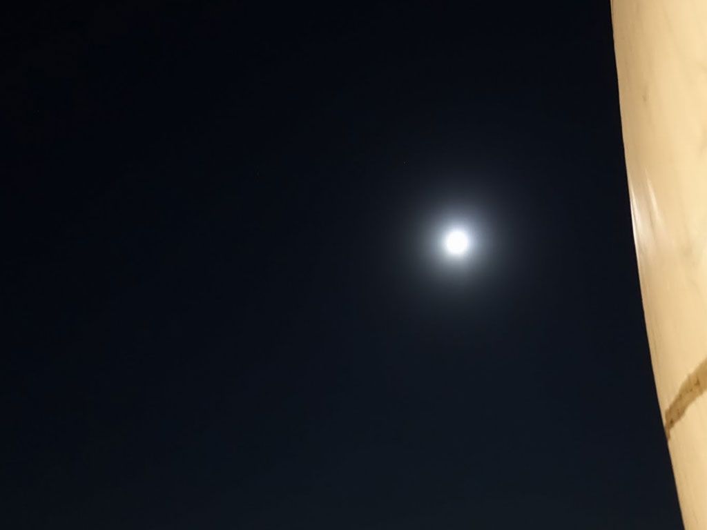 Babasails's tweet photo. 4 hours Moonlight Sailing !!! An amazing opportunity to see the moonlight from the sea
https://t.co/I2dgHO3FlJ

#halkidiki #greece #visithakidiki #travel #summer #moonlight #nightcruise #cruises #thingstodo #babasails #allyouwantisgreece https://t.co/uDaLk3Qfct
