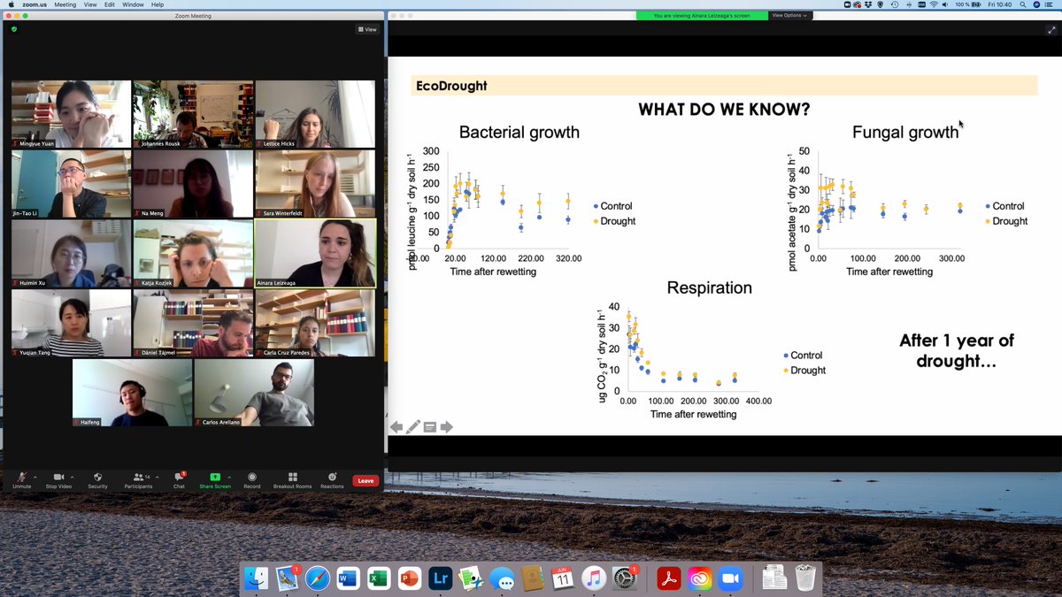 RouskLab's tweet photo. ... while @ainaraleizeaga will finally determine #microbial #responses to #DryingRewetting in the field following two years' #experimental #drought...
Wow... https://t.co/ZeoYc6iQnX