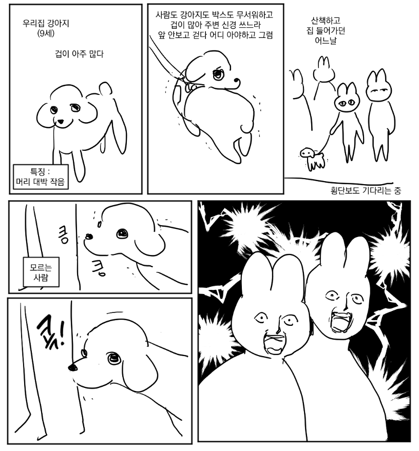 우리집 강강쥬가 코촉촉이를 콕 ... 