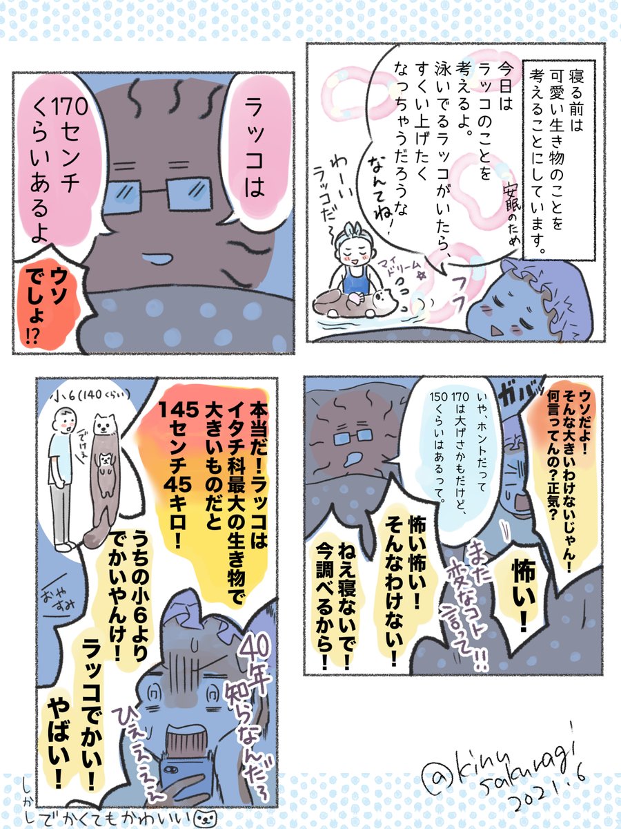 ラッコってビート板くらいの大きさだと思ってたので、心底たまげた。
#ラッコ #エッセイ漫画 
#創作漫画 #漫画が読めるハッシュタグ #オリジナル漫画 