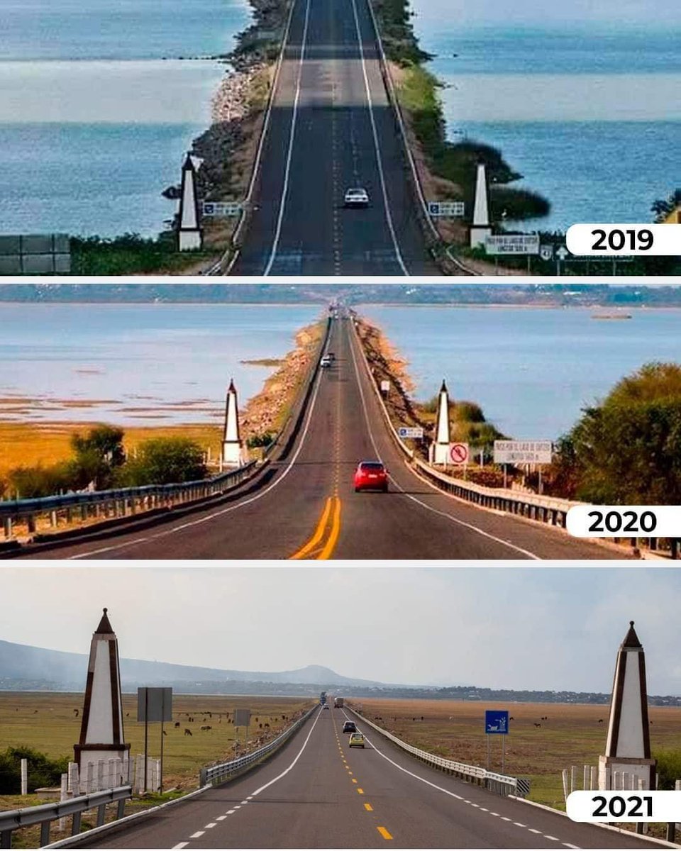 cb_television's tweet image. #Urgente ‼

Así luce el lago de Cuitzeo. Estamos más cerca del Día Cero, ¿qué estamos haciendo, desde nuestras casas, para preservar nuestra existencia?

#CBTelevisión 

.
.
.
Foto 1 2019 Pinterest (Fercho Librero)
Foto 2 2020 OKQueretaro
Foto 3 2021 David Peinado