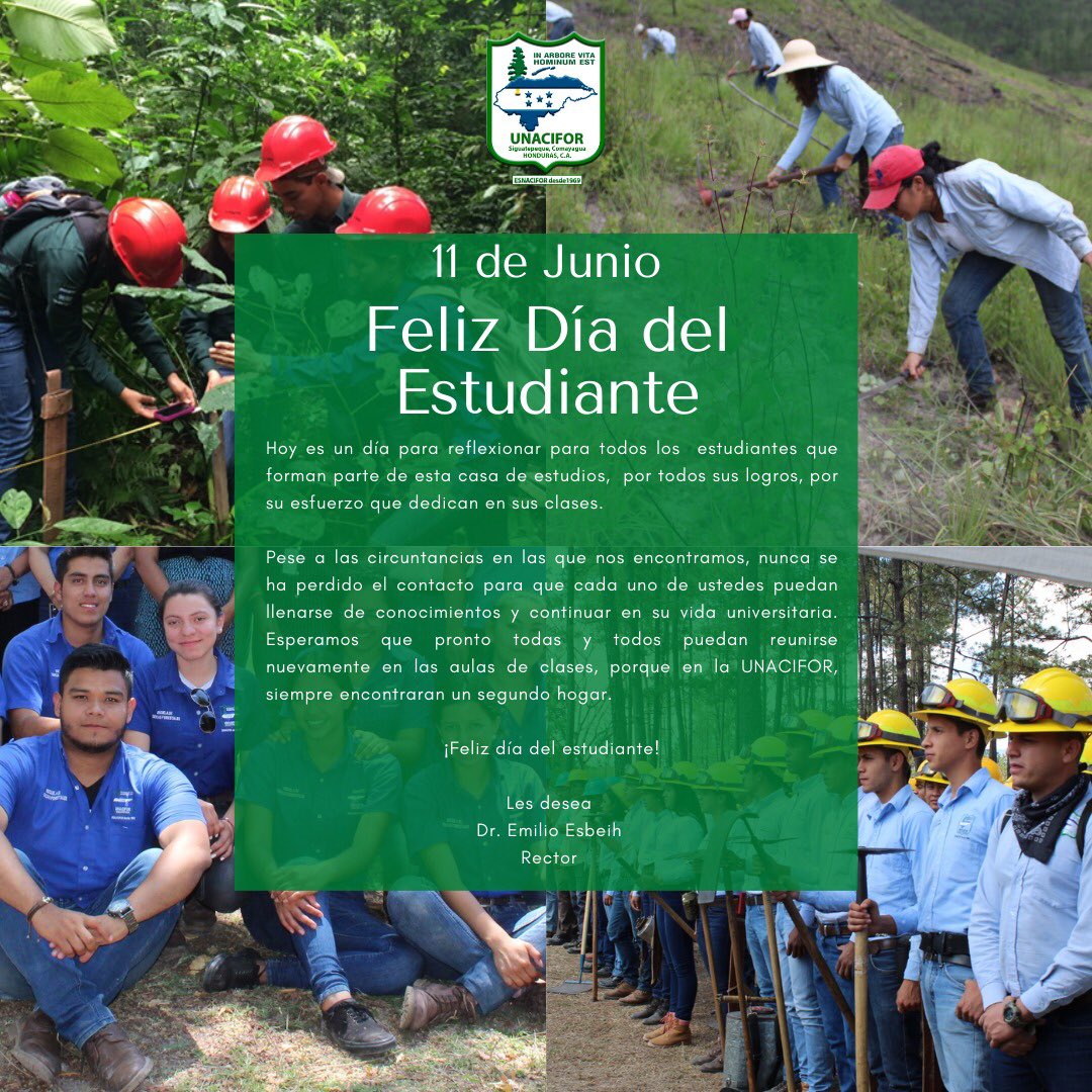 Feliz día del estudiante les deseo a todos y todas los que pertenecen a esta casa de estudios y se esmeran por ser buenos estudiantes cada día. “La educación es el arma más poderosa que puedes utilizar para cambiar el mundo”.
#UNACIFOR #DiaDelEstudiante