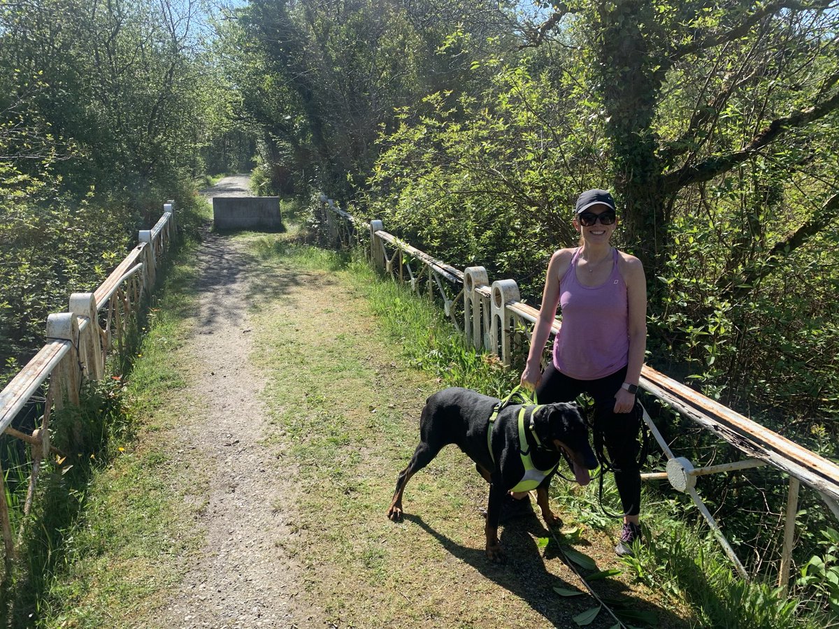 Michelle Kilcar tweet media