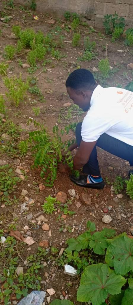 solutecgh's tweet photo. Solutions Technologies Ltd, also join in the campaign to plant #5milliontrees across the country
#GreenGhanaDay #ReadyToGreenGhana #ReadyToPlant #LetsGoPlanting #5milliontreesonjune11.
Let's Green Ghana 🇬🇭 https://t.co/CBZN74RlgM