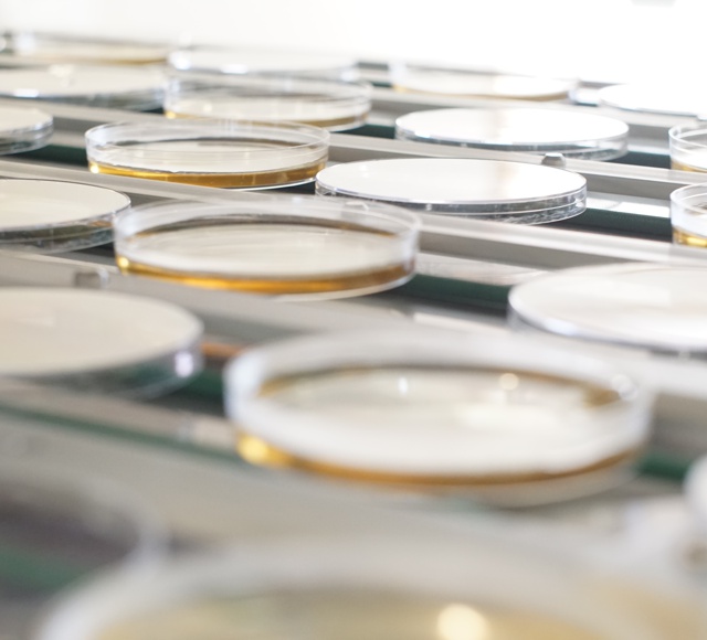 linkedin.com/posts/alex-sed…

#engineering #manufacturing #laboratory #laboratoryequipment #laboratoryautomation #innovation #fillingmachine #biotechnology #automationsolutions #automationengineering #medicaldevices