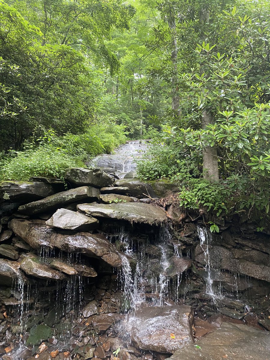 RunLeelanau's tweet photo. Asheville for the weekend

Hello, elevation! https://t.co/YXOHZFjbVr