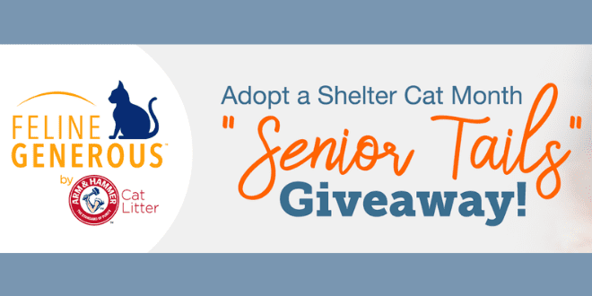 ThinkLikeaCat's tweet photo. The ASPCA and ARM & HAMMER want to hear from shelters and cat parents about their "senior tails". Three shelters will be awarded $2,500 each, and one cat parent will receive a year supply of ARM & HAMMER cat litter. https://t.co/RVIN2E08PG #seniortails #adoptasheltercatmonth https://t.co/6JZ42oSyIk