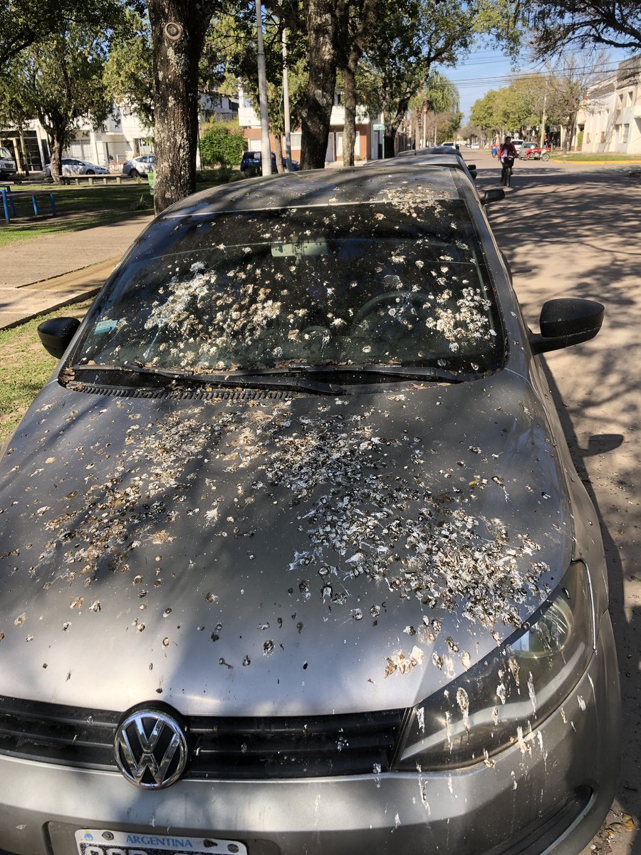 Si tuviste un mal día, Pensa en el dueño de este auto!