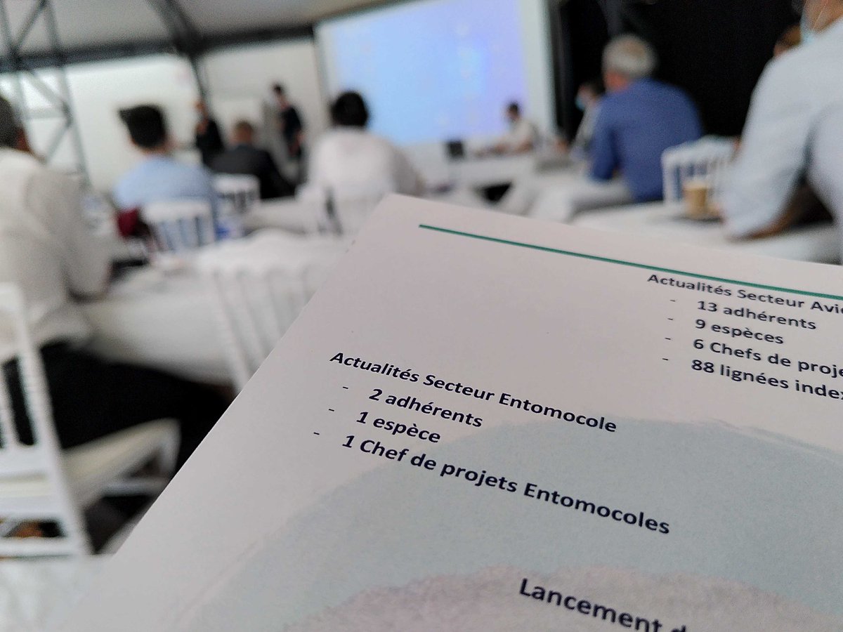 La filière entomocole fait son apparition à l'AG du SYSAAF cette année ! Les deux premiers acteurs de l'insectes à avoir rejoint le consortium, Agronutris et Innovafeed, y étaient présents.

Innovation et coopération sont au cœur de cette rencontre...