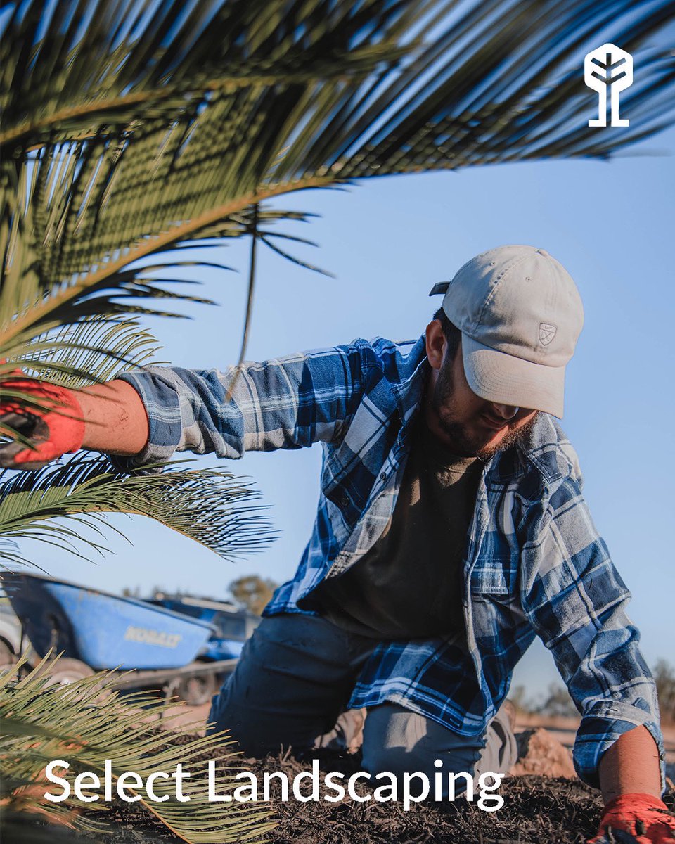 commercial landscaping services tweet media