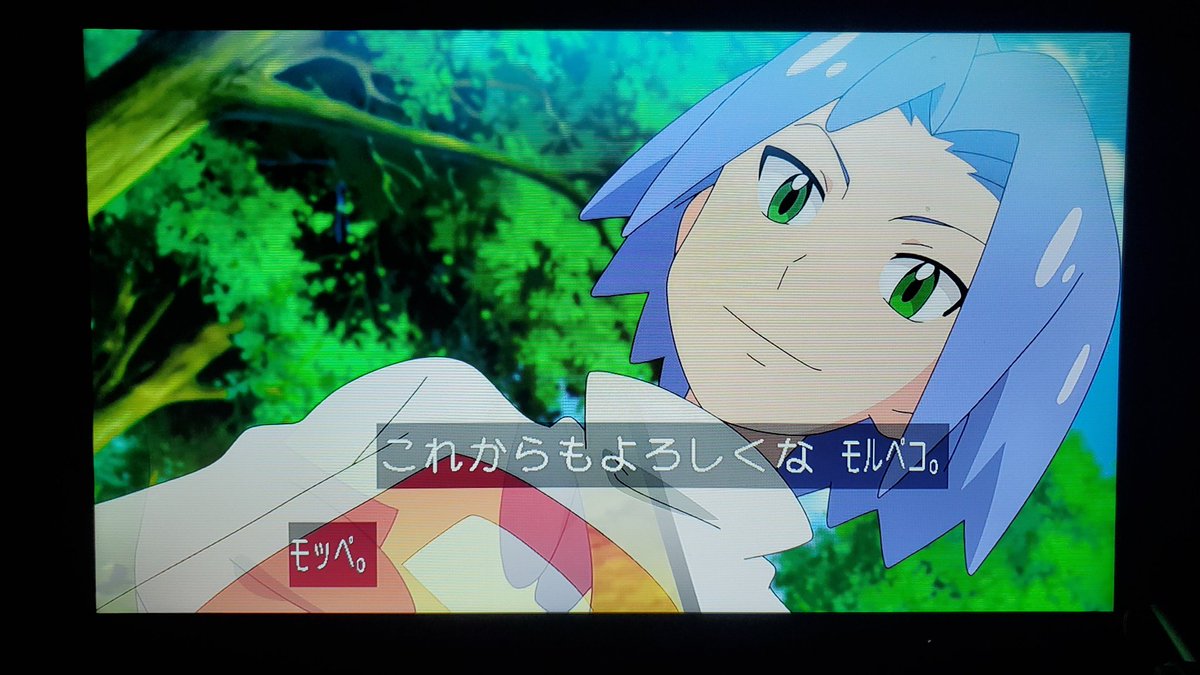 モルペコ X アニポケ Hotワード モルペコ X アニポケ Hotワード