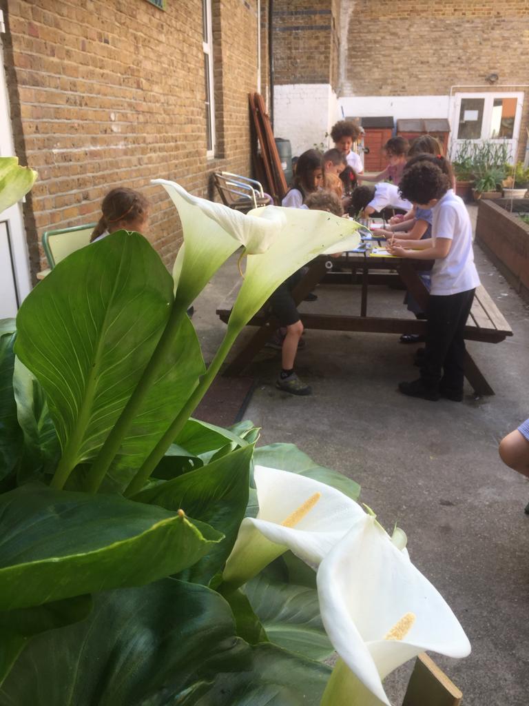 Canada_Blanch's tweet photo. Seguimos con nuestra #cumbreclimática y los #recursosnaturales. Hoy hacemos sesión de dibujo de narcisos con alumnado de 1°. #naturalresources #climatesummit Today’s drawing session of the lily in the garden with year 1🌺😊 @consejeriauk @AccEducativaExt @isaschools https://t.co/vhHDucxX2p