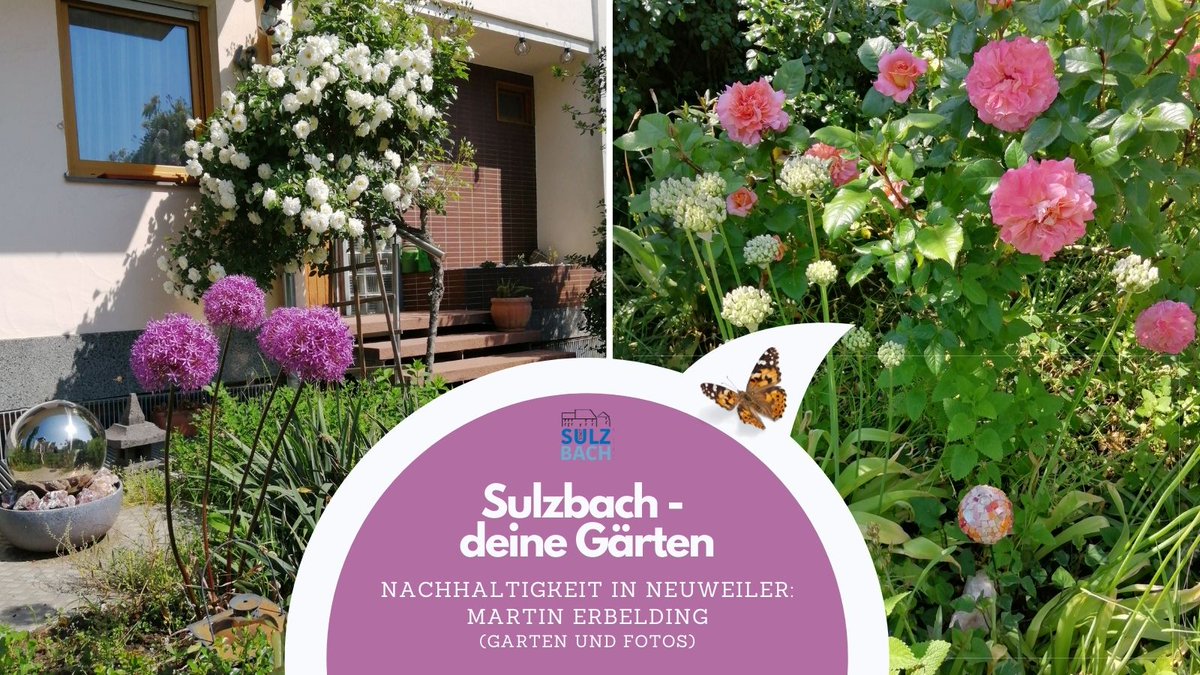 Martin Erbelding aus Neuweiler zeigt als erster seine Gartenpracht! Danke für die "Blumen" 😆🌹 Wer hat in Sulzbach auch nen schönen Garten?👉 pressestelle@stadt-sulzbach.de