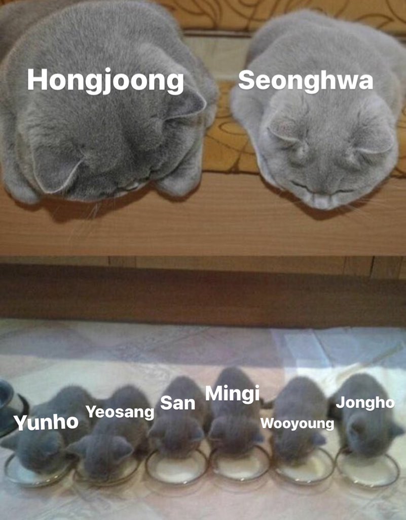 Ateez as anabul Family