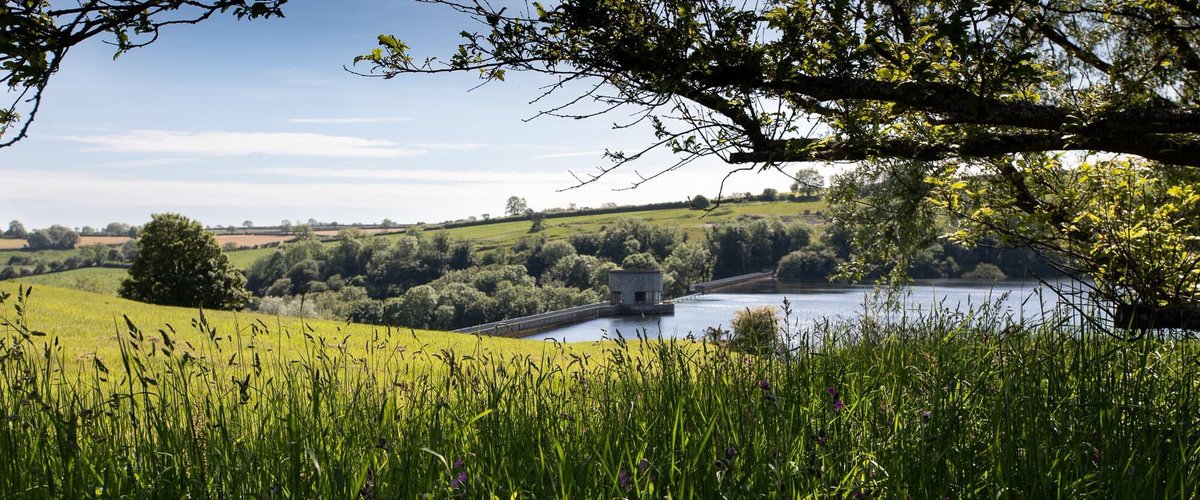 LlysyFranLake's tweet photo. EXCITING NEWS! We are OPENING our gates on Friday 18 June.  We look forward to welcoming you to Llys-y-Frân Lake very soon and inviting you to explore the 350 acres of woodland and grassland surrounding our beautiful lake. We look forward to seeing you soon. #EscapetoLlysYFran https://t.co/xWdnGrd1Xy