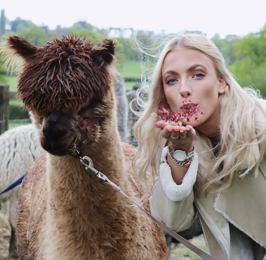 Alpacas_farm's tweet photo. Your invitation! Professional photo shoot with alpacas! - https://t.co/9VGk5Z3HIM https://t.co/ktDS5zgjqH