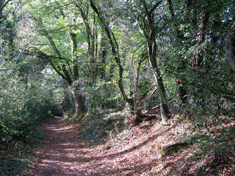 Join us for our Summer Walk tomorrow! (Sat 12th) Friends of Canley Green Spaces will guide us on a 6 mile walk across the beautiful countryside surrounding the University. The sun will be shining so why not join us? Meeting at Pret 10.30am. Sign up here: myadvantage.warwick.ac.uk/students/event…