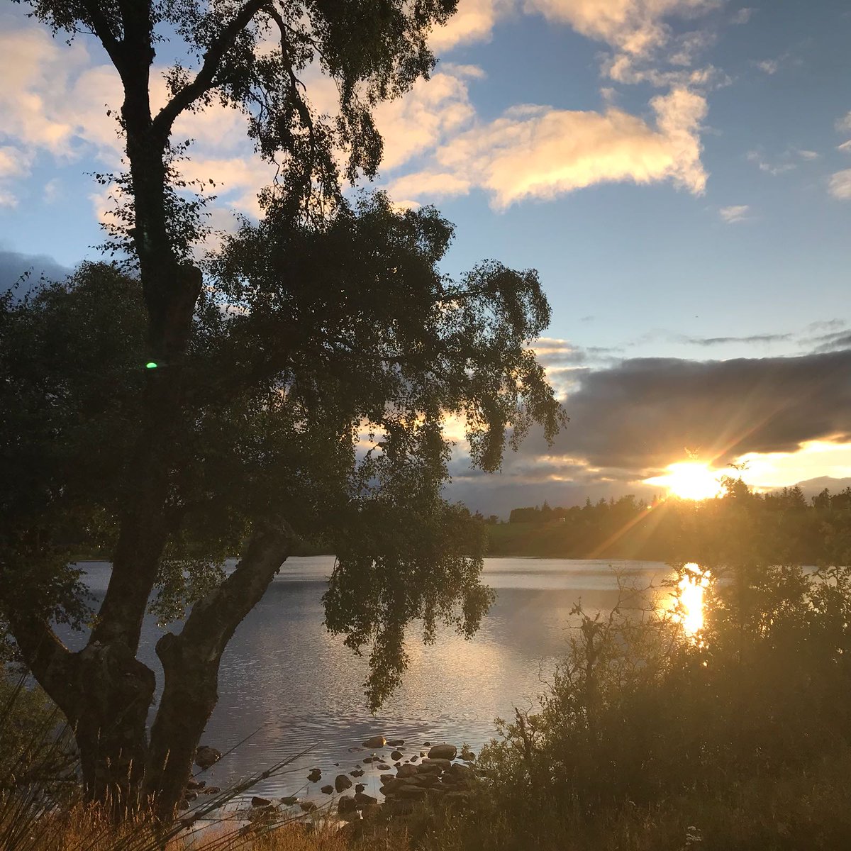 Sunset at Abriachan ✨ 

<a href="/VisitScotland/">VisitScotland</a> <a href="/visitnessie/">InvernessLochNess</a> #Highlands