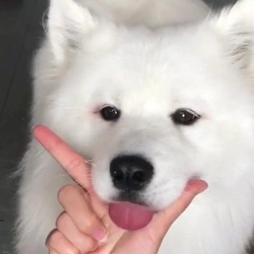 jeno puppyyy 💘🐶