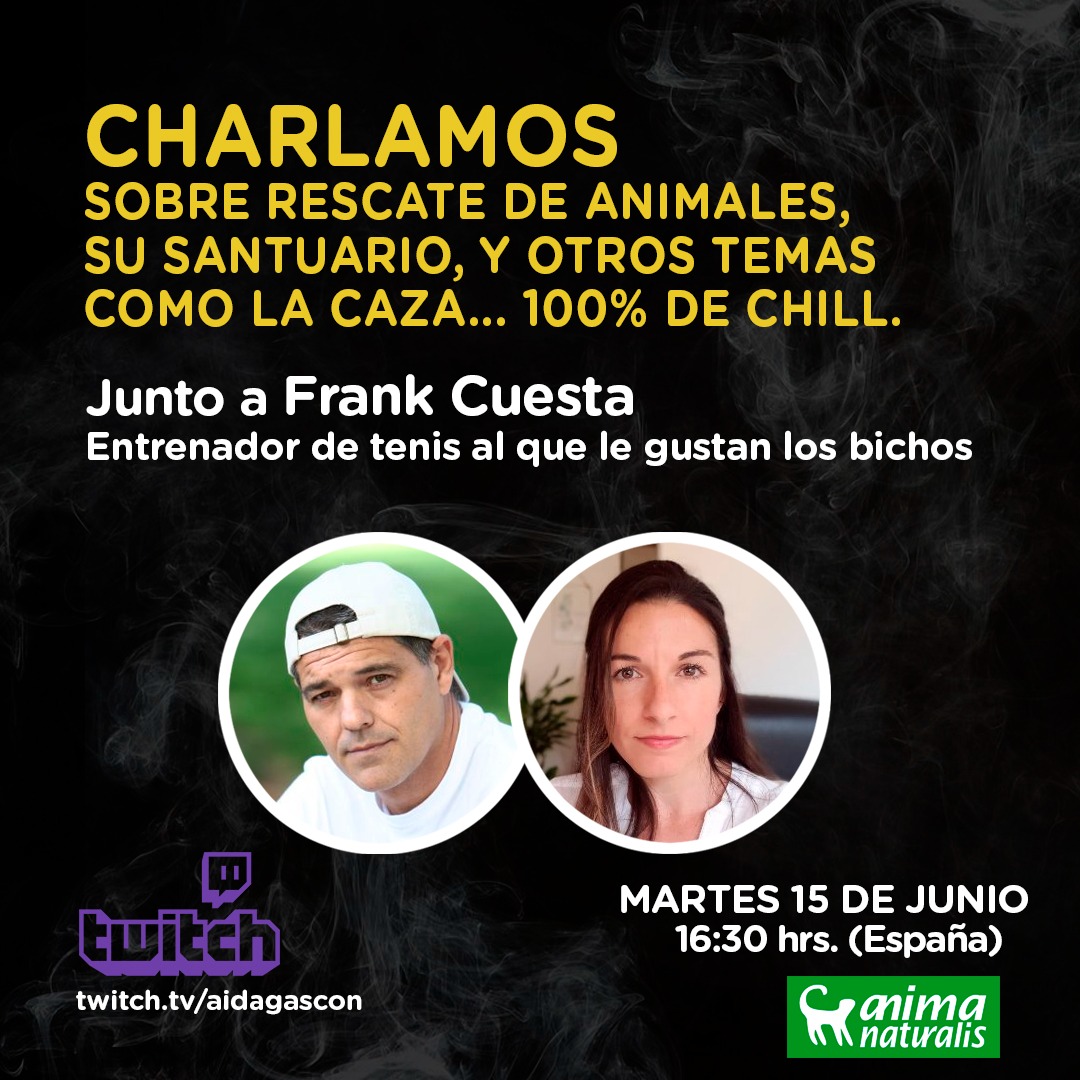 AidaGascon's tweet photo. Ojo que el martes en Twitch tendremos a un animalista que se declara antianimalista 😉

🐍 @Frank_Cuesta 🦔

Por tema de diferencia horaria el stream empezará antes de lo habitual, a las 16:30h. 

👉 https://t.co/RVhPZbQbS3
👉 https://t.co/RVhPZbQbS3
👉 https://t.co/RVhPZbQbS3 https://t.co/ovJwGk9KkT