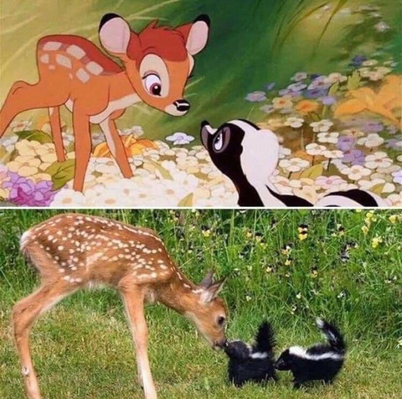 when real life imitates art 🎨