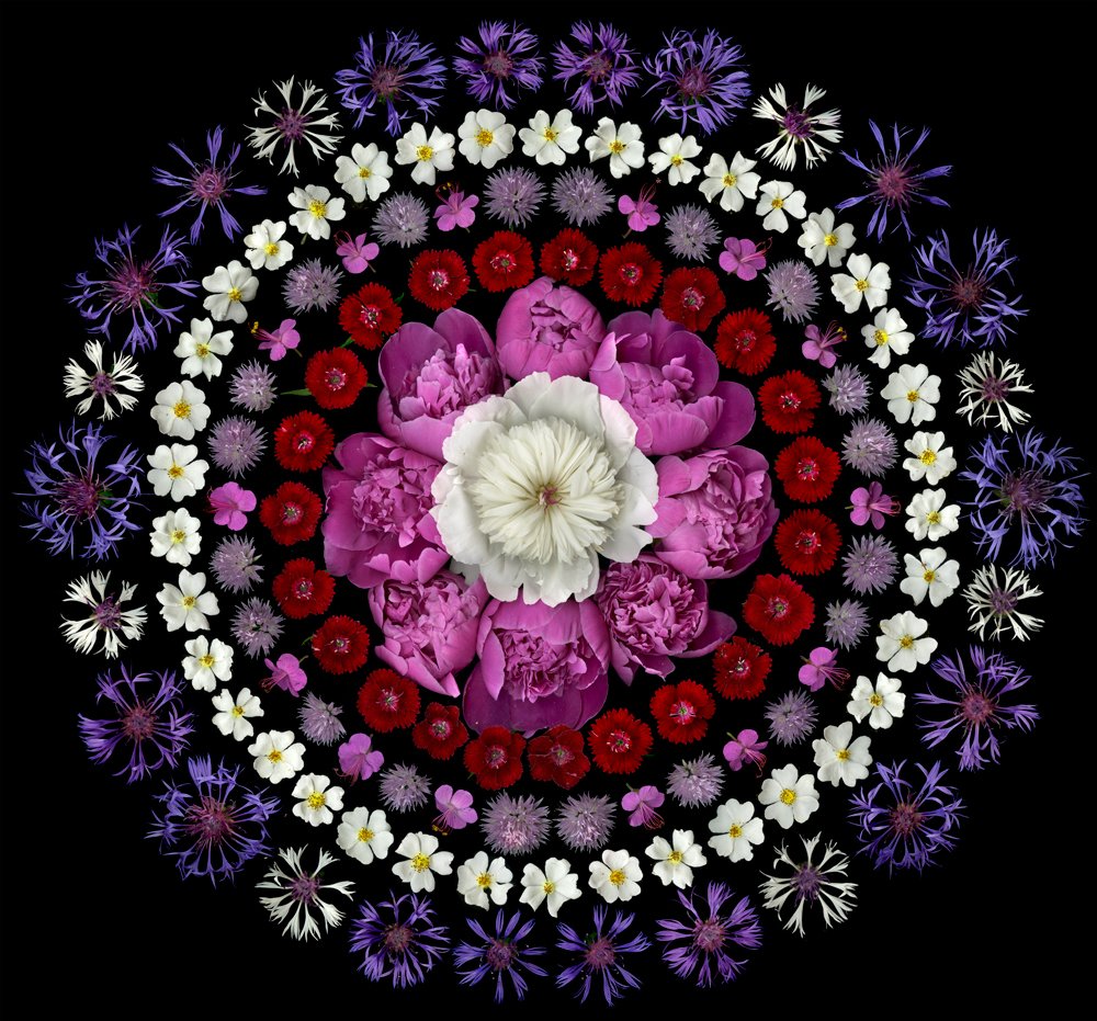Peony mandala, 2011 by Portia Munson, US artist who works in a variety of media #womensart